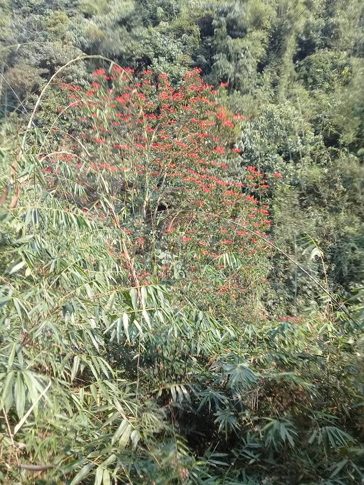 3 Days Nong Khiaw 100 Waterfall Trek, Homestay, Kayaking Tour